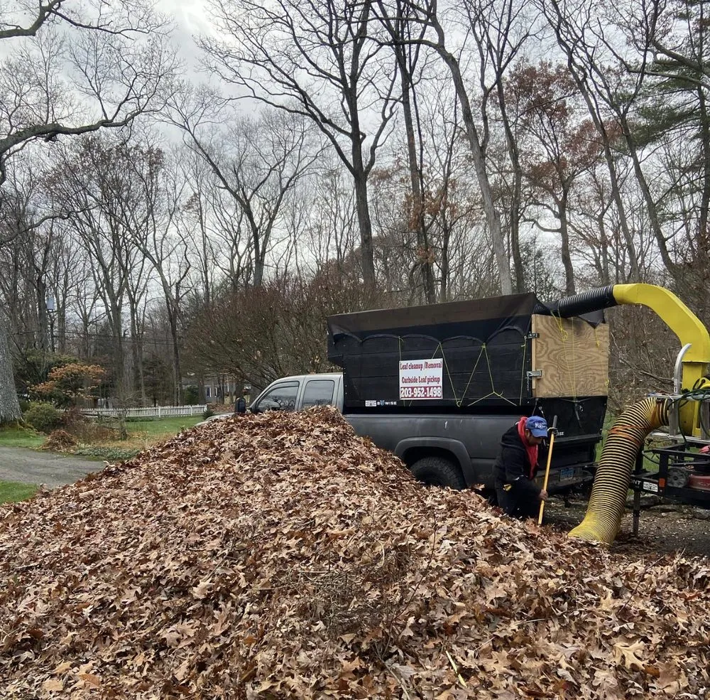 Top-rated landscaping services experts serving Norwalk, CT - EarlyGreen Care Landscaping