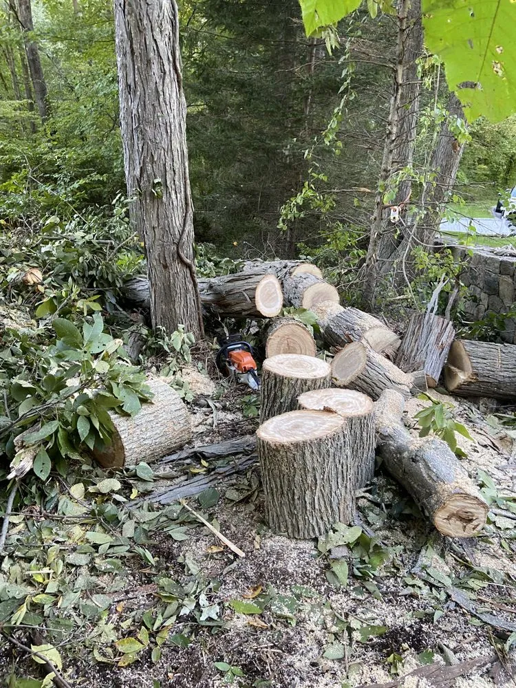 Affordable garden landscaping with custom design across Norwalk, CT - EarlyGreen Care Landscaping