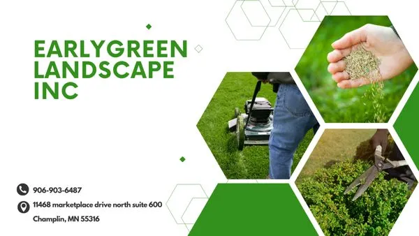 Earlygreen Landscape