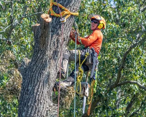 Earnest Tree Service Logo