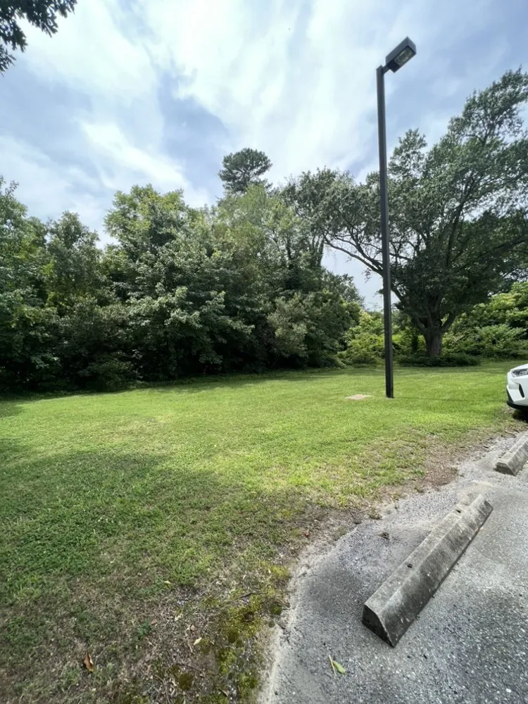 Reliable yard cleanup service for year-round maintenance in Stanley, NC by Earnhardt Landscaping & Hardscapes