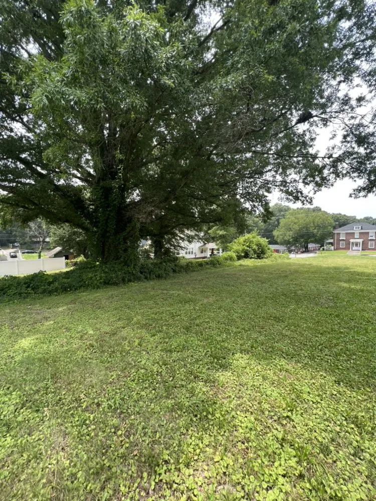 Top-rated landscaping services experts serving Stanley, NC - Earnhardt Landscaping & Hardscapes