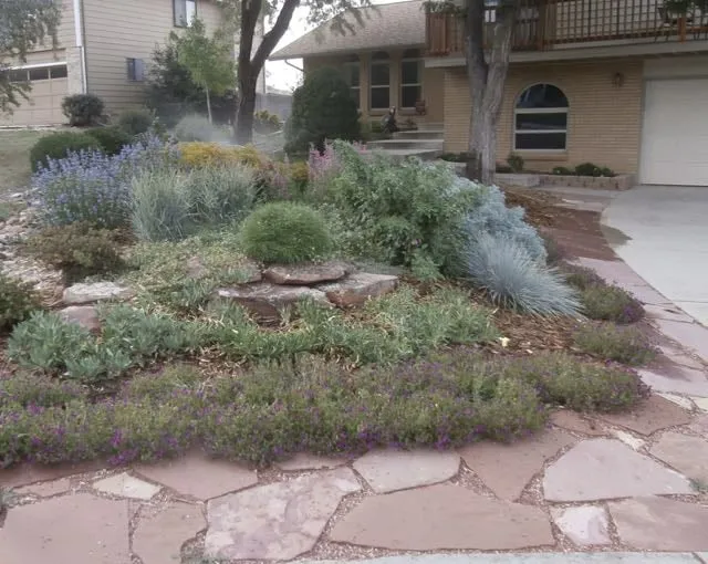 Professional yard maintenance for outdoor upgrades across Wheatridge, CO - Earth & Art Landscape