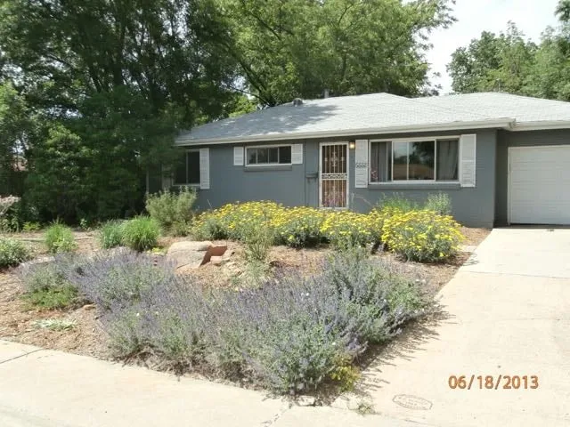 Custom yard maintenance experts serving Wheatridge, CO - Earth & Art Landscape