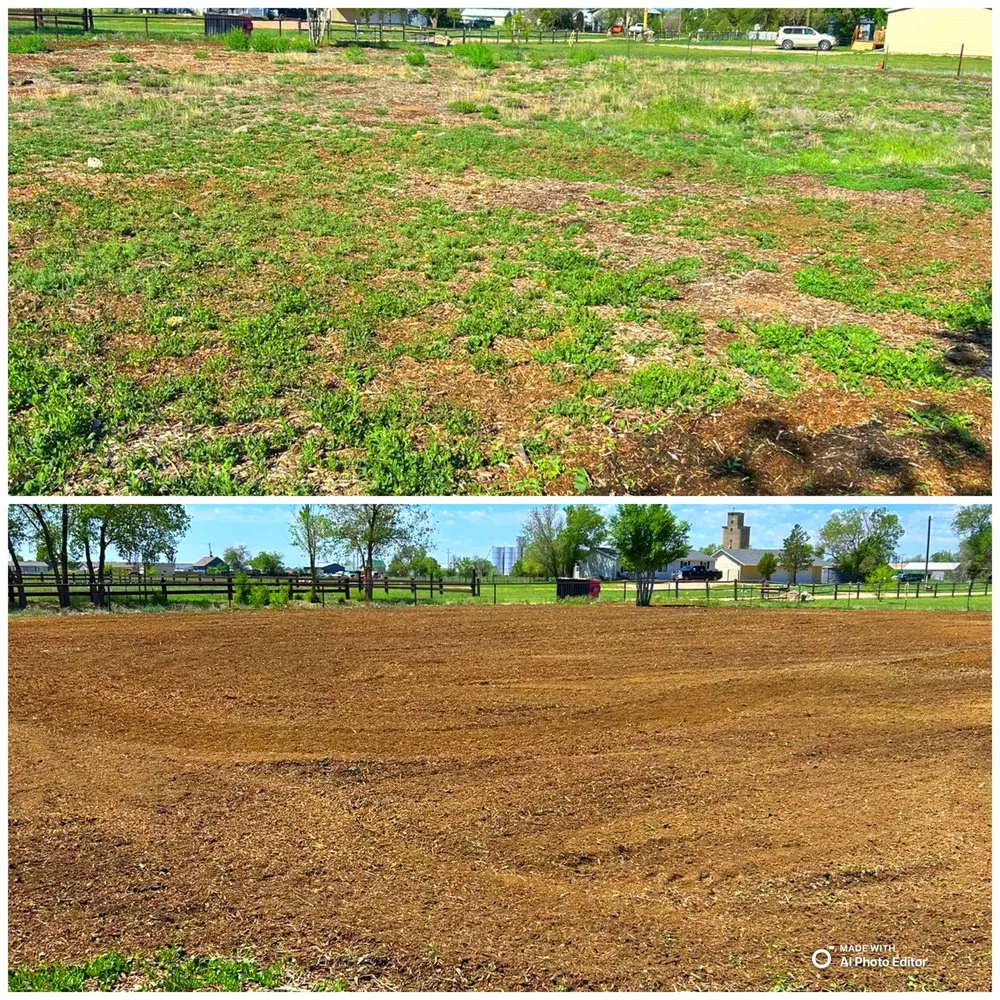 Trusted yard maintenance for residential properties in Nunn, CO by Earth & Iron