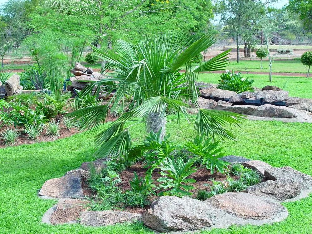 Reliable residential landscaping in Westlake Village, CA by Earth & Oak Engineering