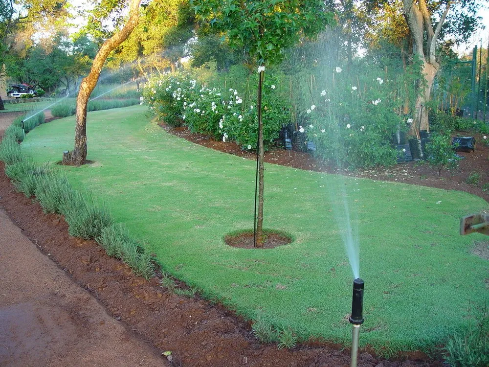 Affordable lawn care service with custom design across Westlake Village, CA - Earth & Oak Engineering
