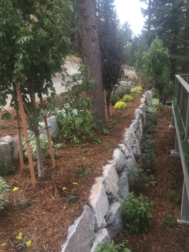 Expert outdoor landscaping for year-round maintenance in South Lake Tahoe, CA by Earth & Stone Landscapes