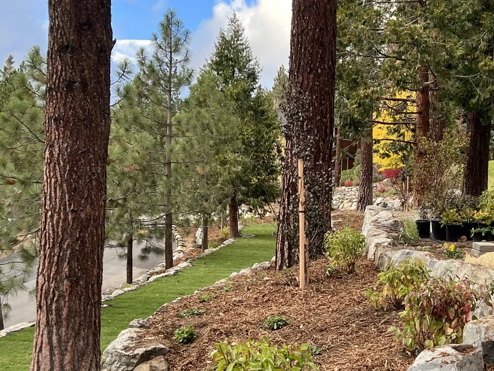 Expert yard maintenance in South Lake Tahoe, CA - Earth & Stone Landscapes