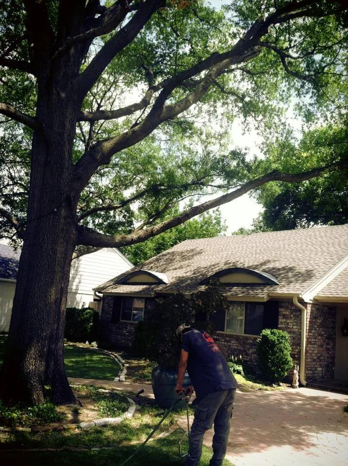 Trusted yard maintenance in Edmond, OK by Earth and Arbor Tree Service