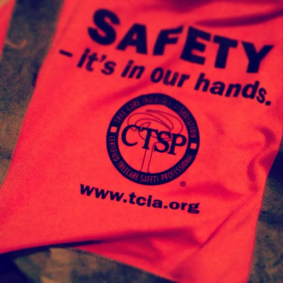 Trusted landscaping services experts serving Edmond, OK - Earth and Arbor Tree Service