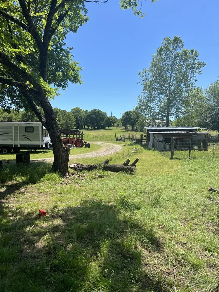 Trusted yard cleanup service for year-round maintenance in Sand Springs, OK by Earth And Iron Construction And Land Services