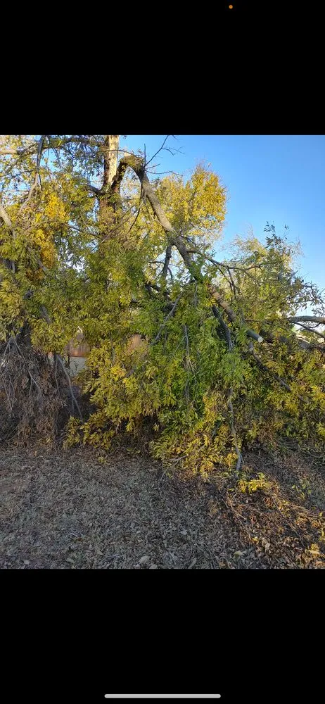 Custom lawn mowing service for outdoor upgrades in Sand Springs, OK by Earth And Iron Construction And Land Services