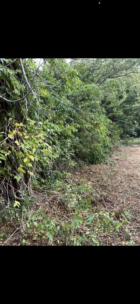 Custom landscape installation for homes across Sand Springs, OK - Earth And Iron Construction And Land Services