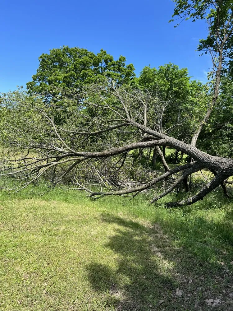 Top-rated yard cleanup service for beautiful yards in Sand Springs, OK by Earth And Iron Construction And Land Services