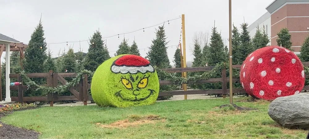 Expert residential landscaping with custom design across Zionsville, IN - Earth and Turf Partners