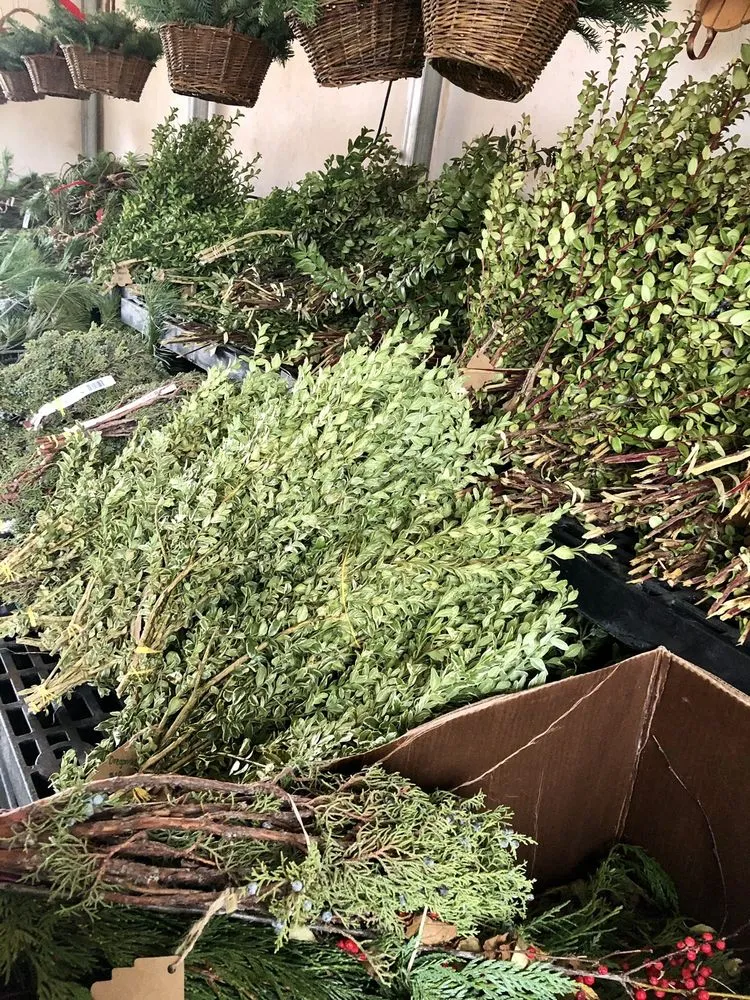 Custom landscape installation in Zionsville, IN - Earth and Turf Partners