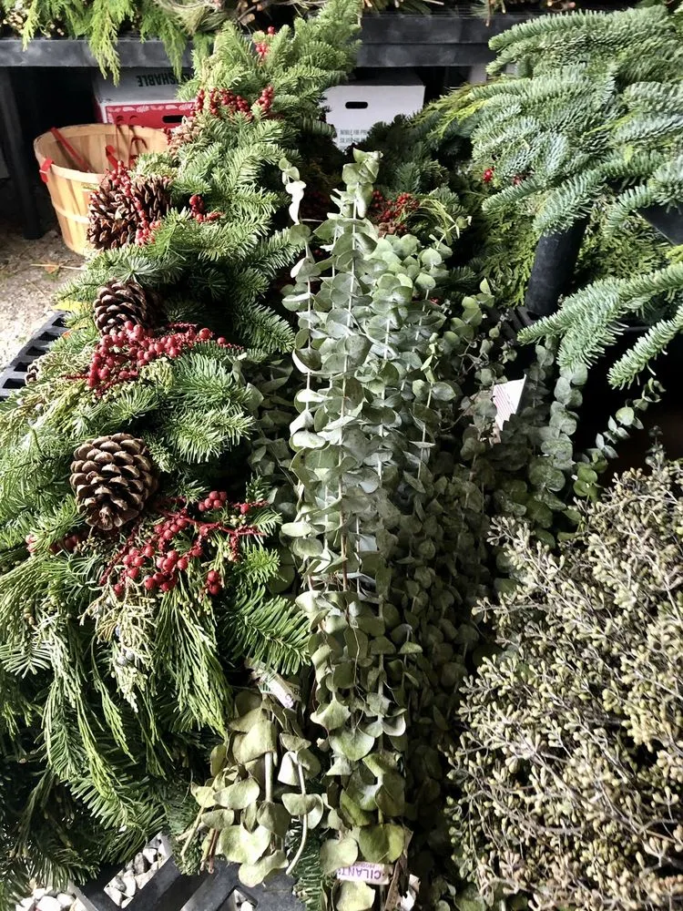 Top-rated yard maintenance in Zionsville, IN by Earth and Turf Partners