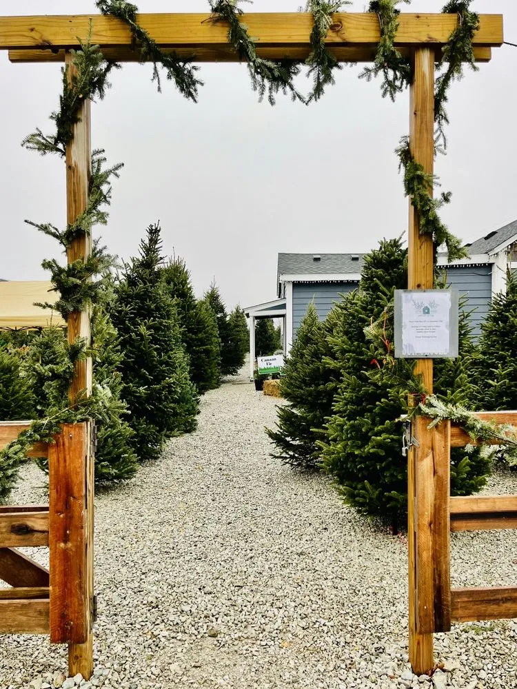 Trusted yard maintenance with custom design in Zionsville, IN by Earth and Turf Partners