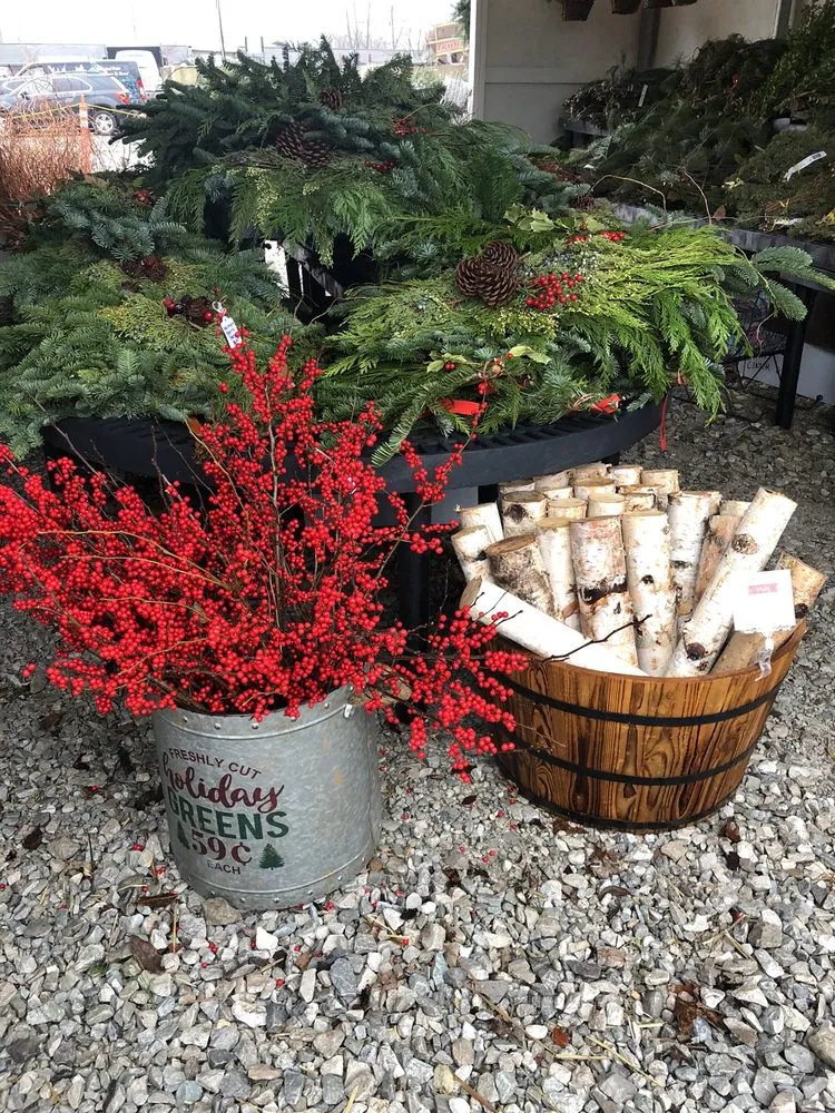 Top-rated residential landscaping experts serving Zionsville, IN - Earth and Turf Partners