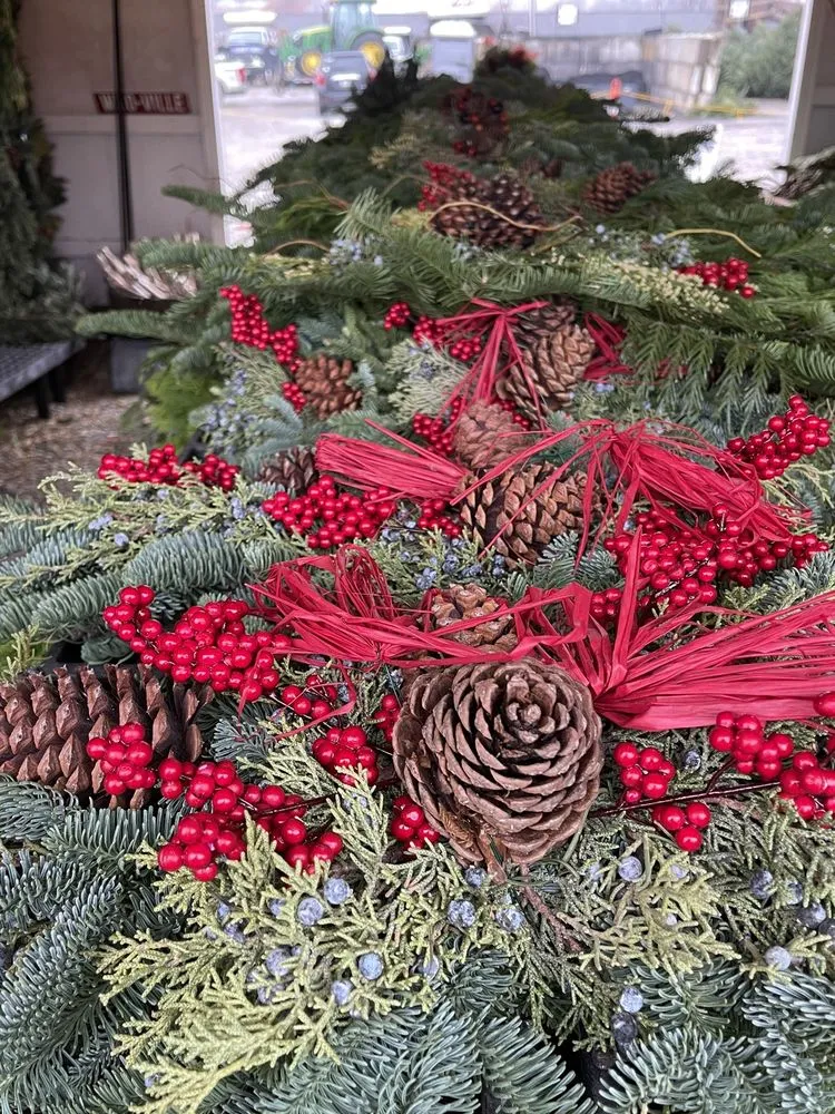 Top-rated yard maintenance near you in Zionsville, IN by Earth and Turf Partners