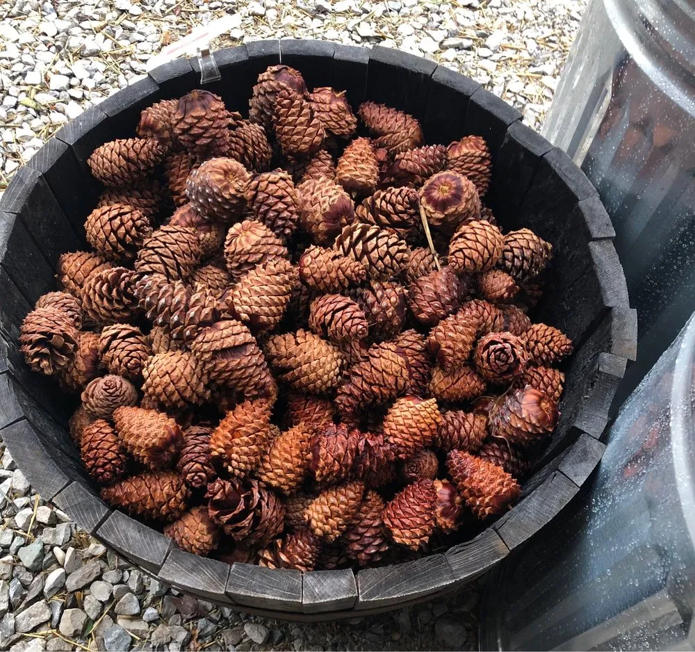 Affordable garden landscaping in Zionsville, IN - Earth and Turf Partners