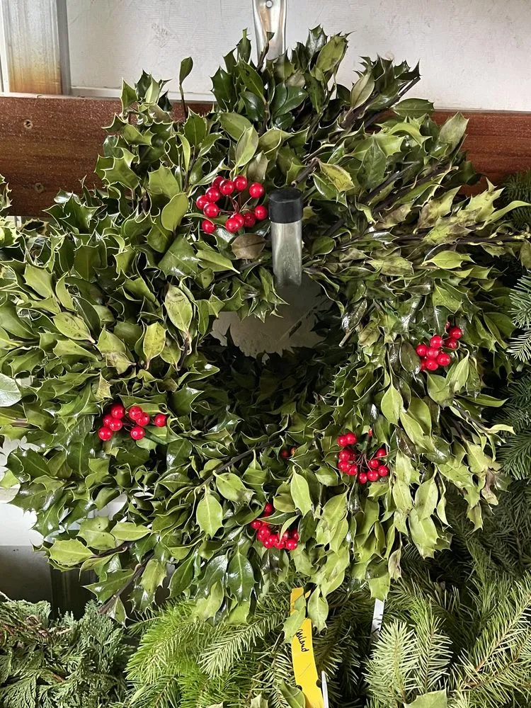 Expert lawn care service for year-round maintenance in Zionsville, IN by Earth and Turf Partners