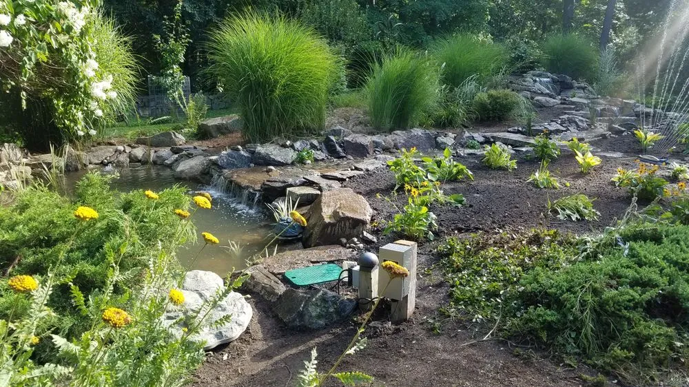 Reliable yard cleanup service experts serving Lincoln, RI - Earth and Water