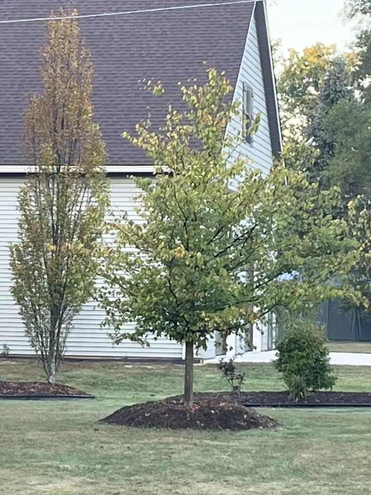 Local garden landscaping with custom design in Dexter, MI by Earth Art Garden Center