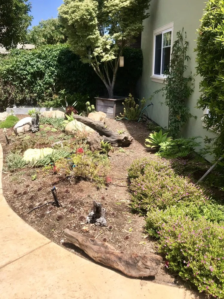 Top-rated garden landscaping for outdoor upgrades across Santa Cruz, CA - Earth Art Landscape Design