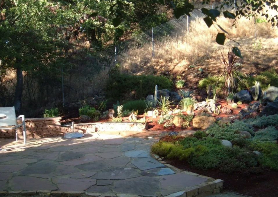 Reliable yard cleanup service experts serving Santa Cruz, CA - Earth Art Landscape Design