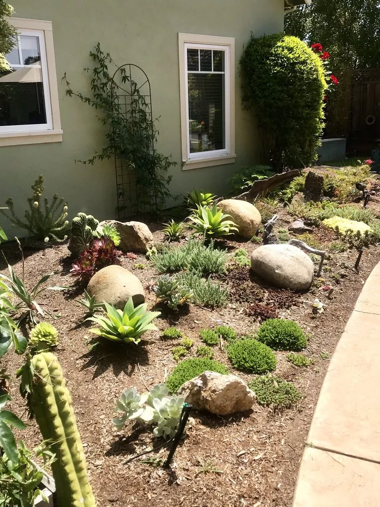 Top-rated residential landscaping for beautiful yards in Santa Cruz, CA by Earth Art Landscape Design