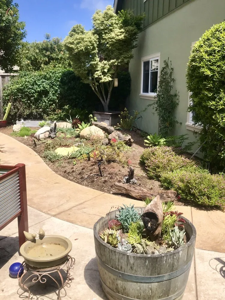 Local yard cleanup service in Santa Cruz, CA - Earth Art Landscape Design