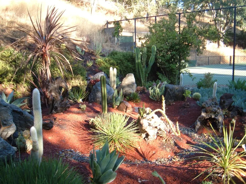 Affordable outdoor landscaping experts serving Santa Cruz, CA - Earth Art Landscape Design