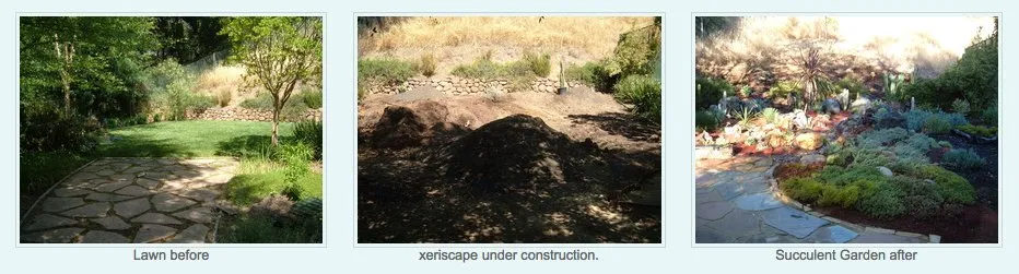 Professional landscaping services in Santa Cruz, CA - Earth Art Landscape Design