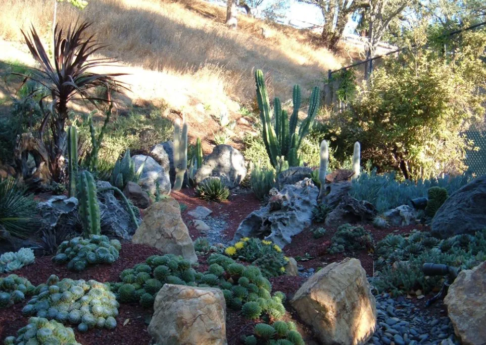 Professional lawn mowing service in Santa Cruz, CA by Earth Art Landscape Design