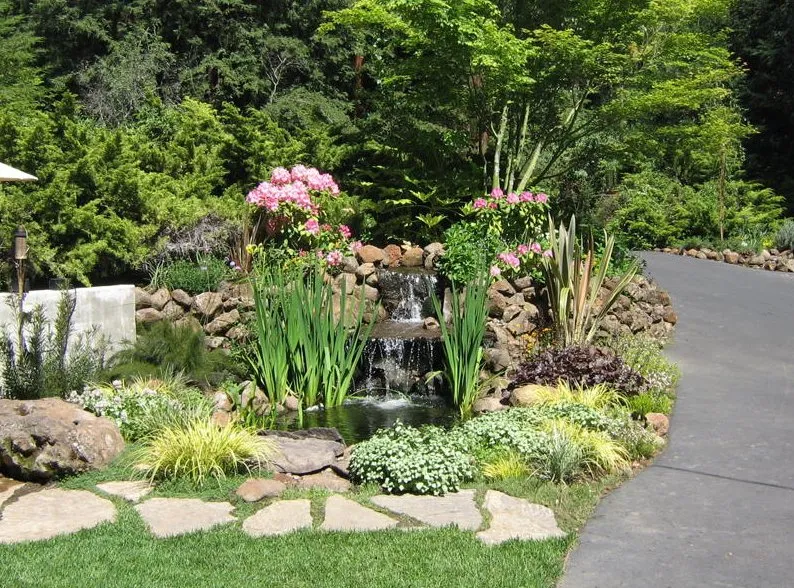 Trusted yard maintenance in Santa Cruz, CA by Earth Art Landscape Design