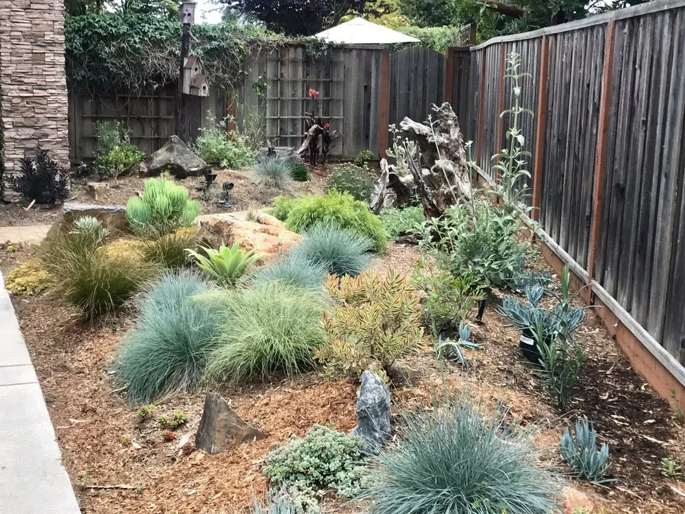 Top-rated yard maintenance in Santa Cruz, CA - Earth Art Landscape Design