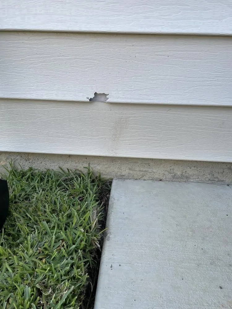 Custom garden landscaping in New Bern, NC - Earth Art Landscaping