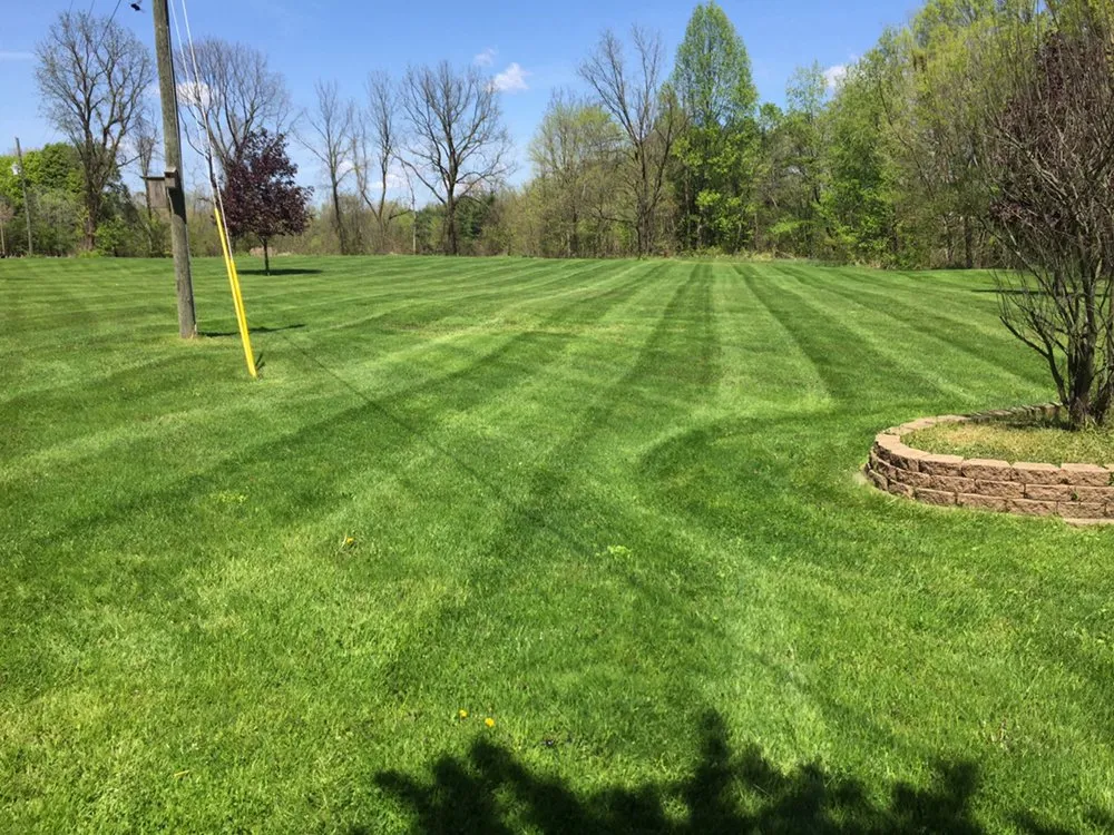 Expert lawn care service with custom design in White Pigeon, MI by Earth Care Lawn Service