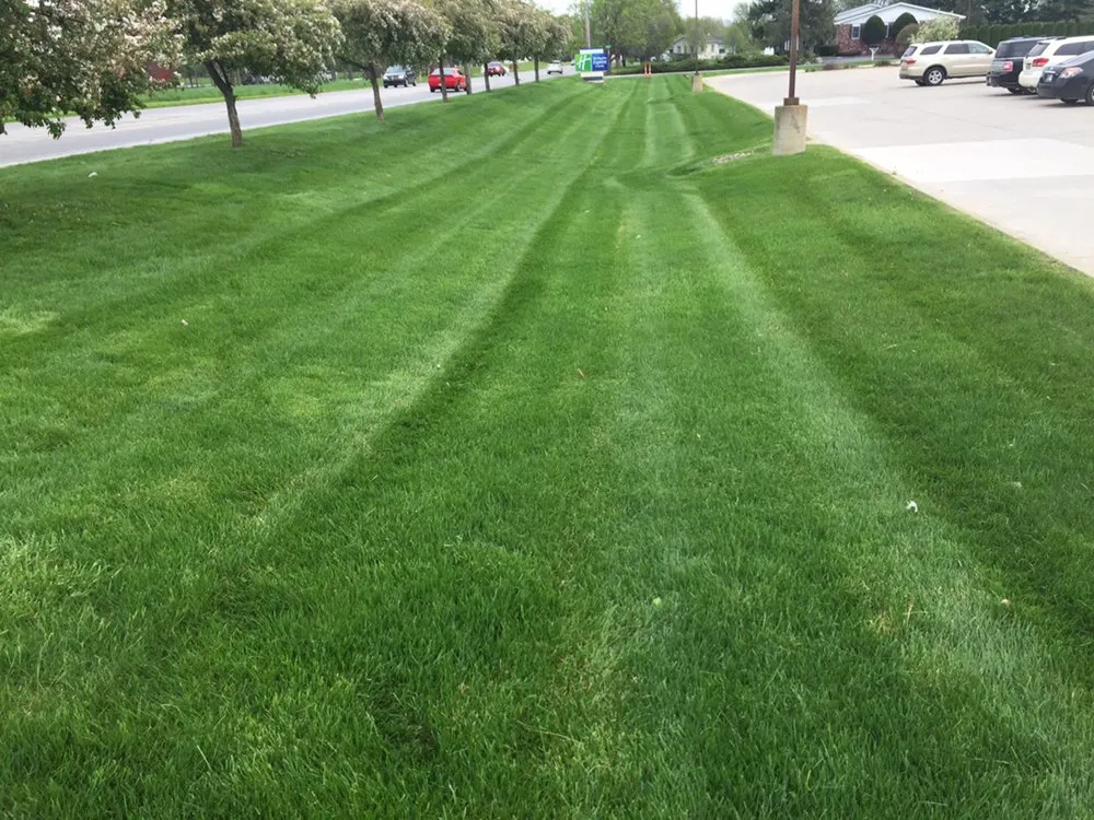 Affordable landscaping services with custom design in White Pigeon, MI by Earth Care Lawn Service