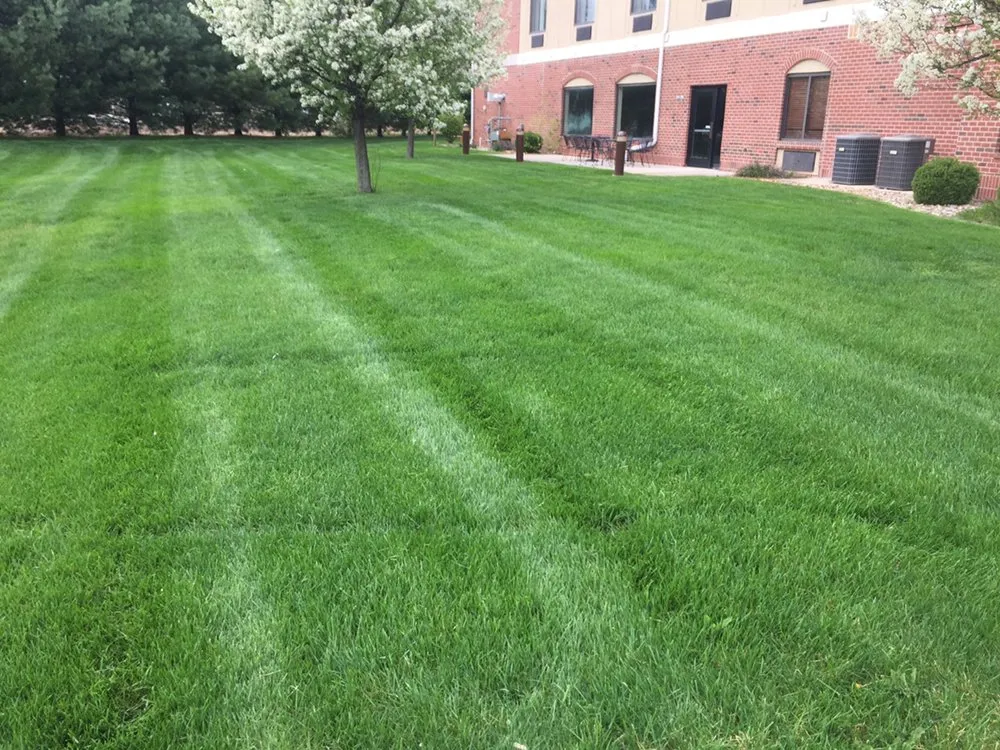 Trusted lawn mowing service for year-round maintenance in White Pigeon, MI by Earth Care Lawn Service