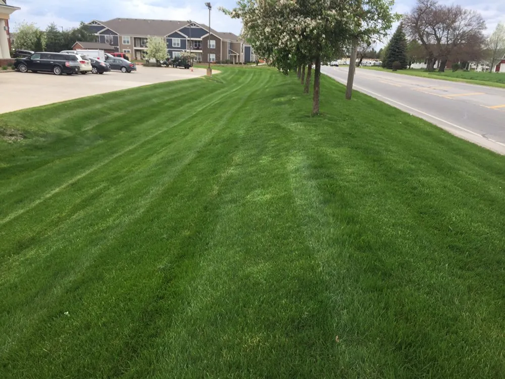 Expert yard cleanup service for outdoor upgrades in White Pigeon, MI by Earth Care Lawn Service