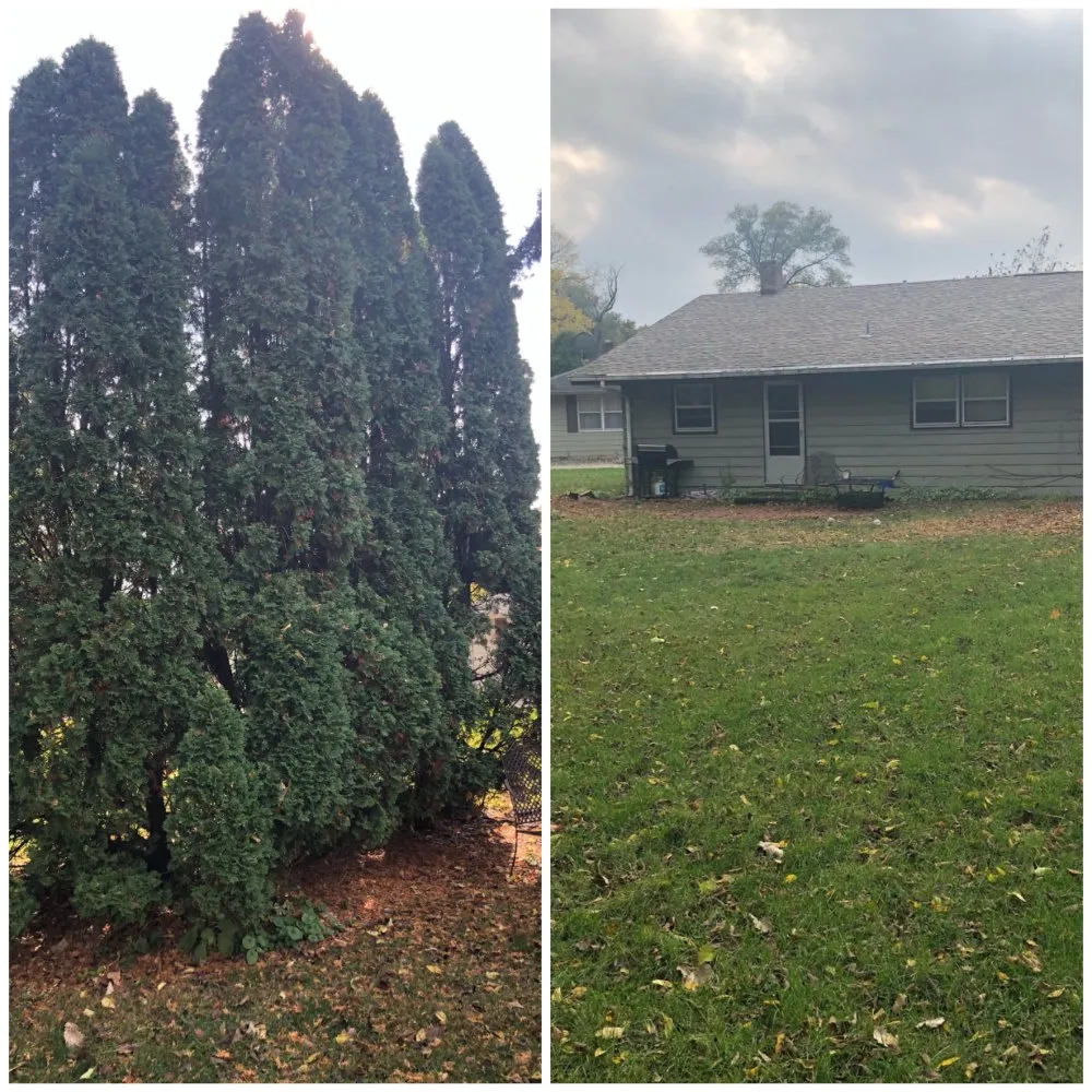 Expert landscape design for residential properties across White Pigeon, MI - Earth Care Lawn Service