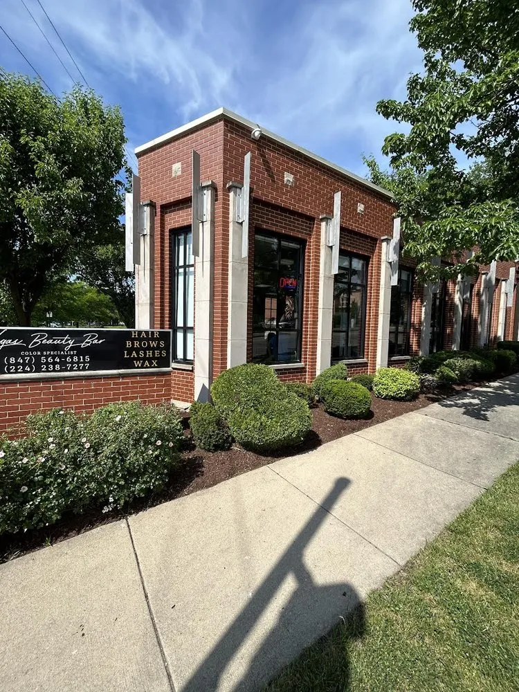 Trusted yard cleanup service for year-round maintenance in Elgin, IL by Earth Co