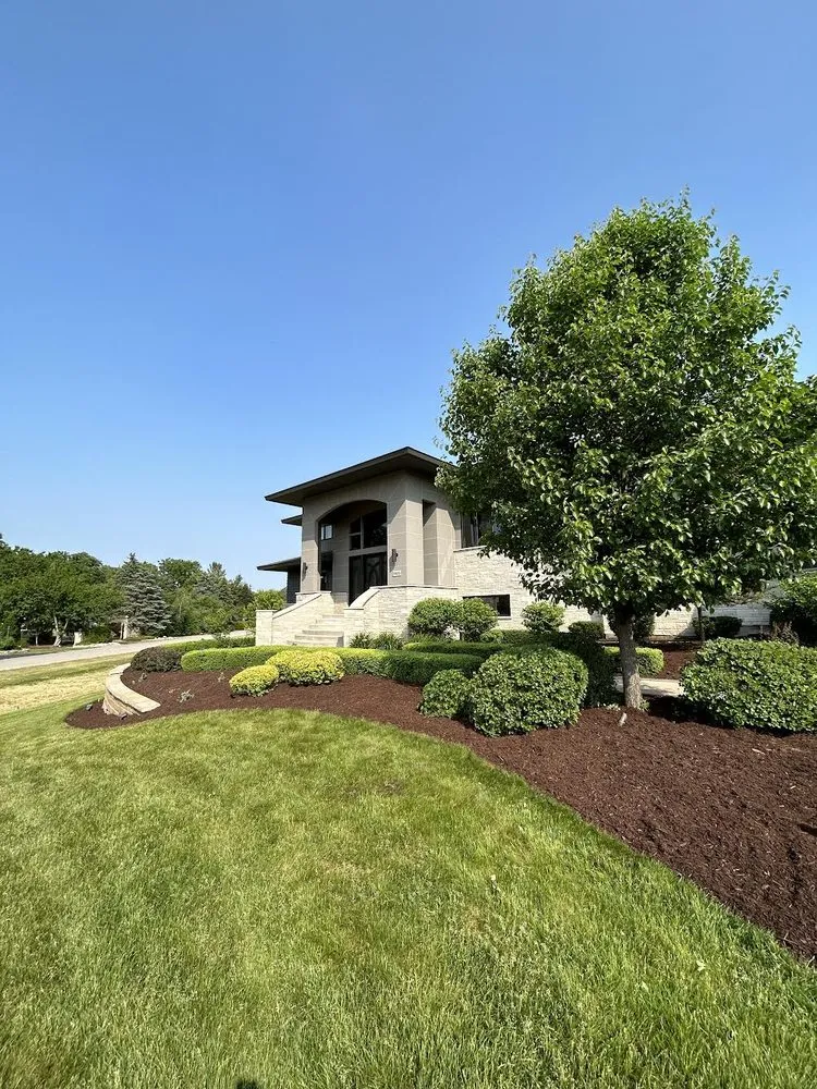 Professional yard cleanup service for residential properties across Elgin, IL - Earth Co