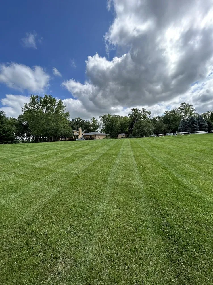 Expert residential landscaping experts serving Elgin, IL - Earth Co