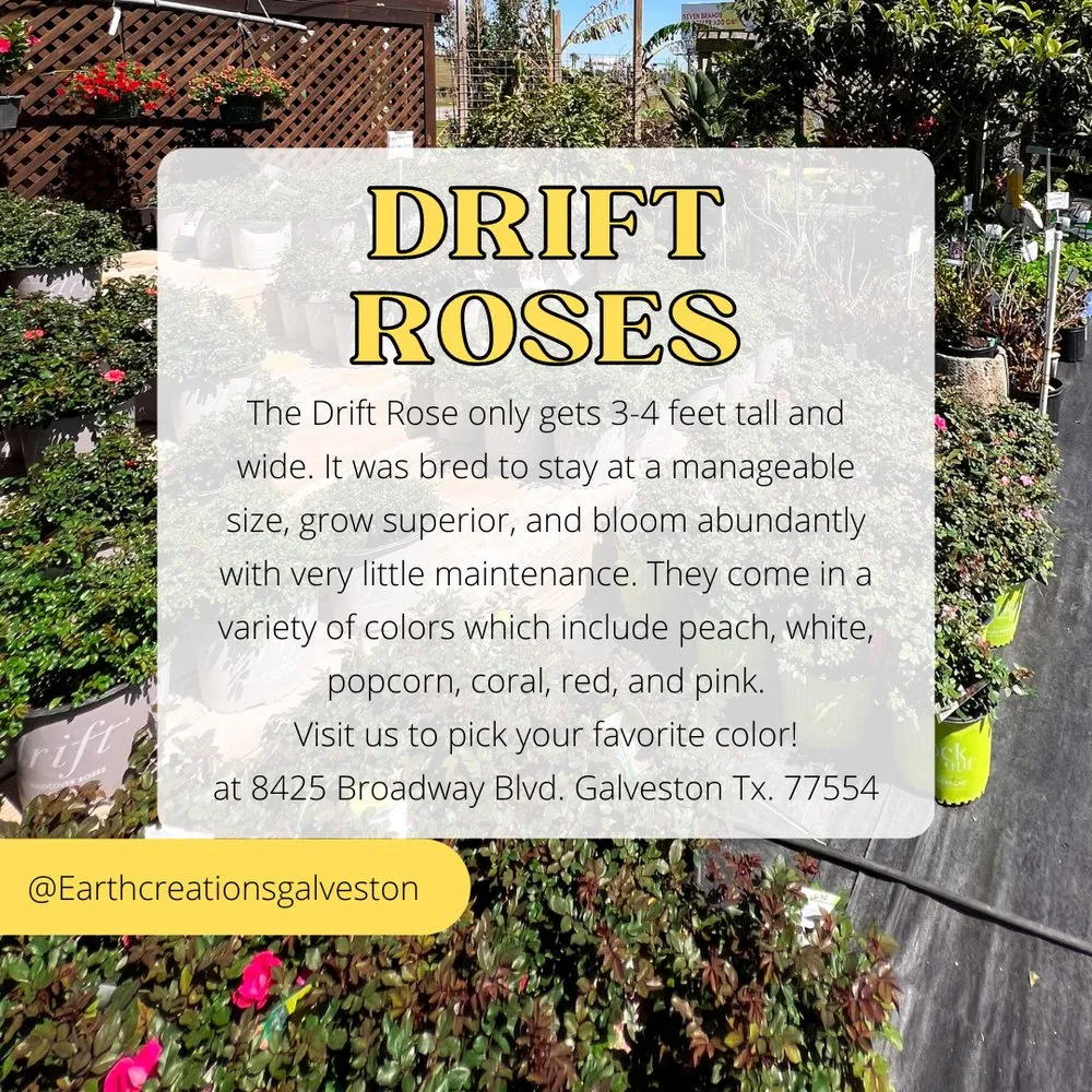 Professional lawn care service for year-round maintenance across Galveston, TX - Earth Creations Landscaping