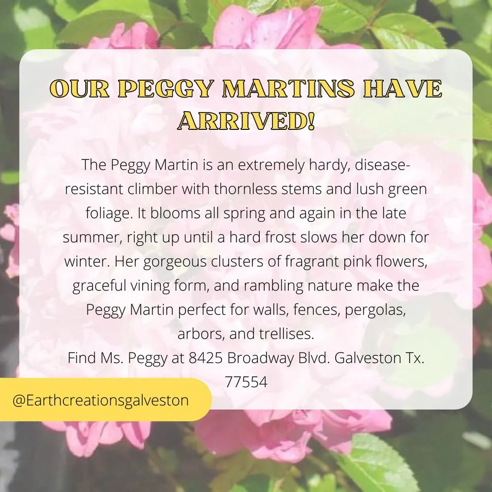 Trusted landscaping services for residential properties across Galveston, TX - Earth Creations Landscaping