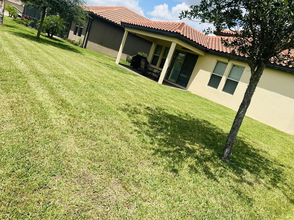 Top-rated landscape installation for year-round maintenance across Lakeland, FL - Earth Cutz